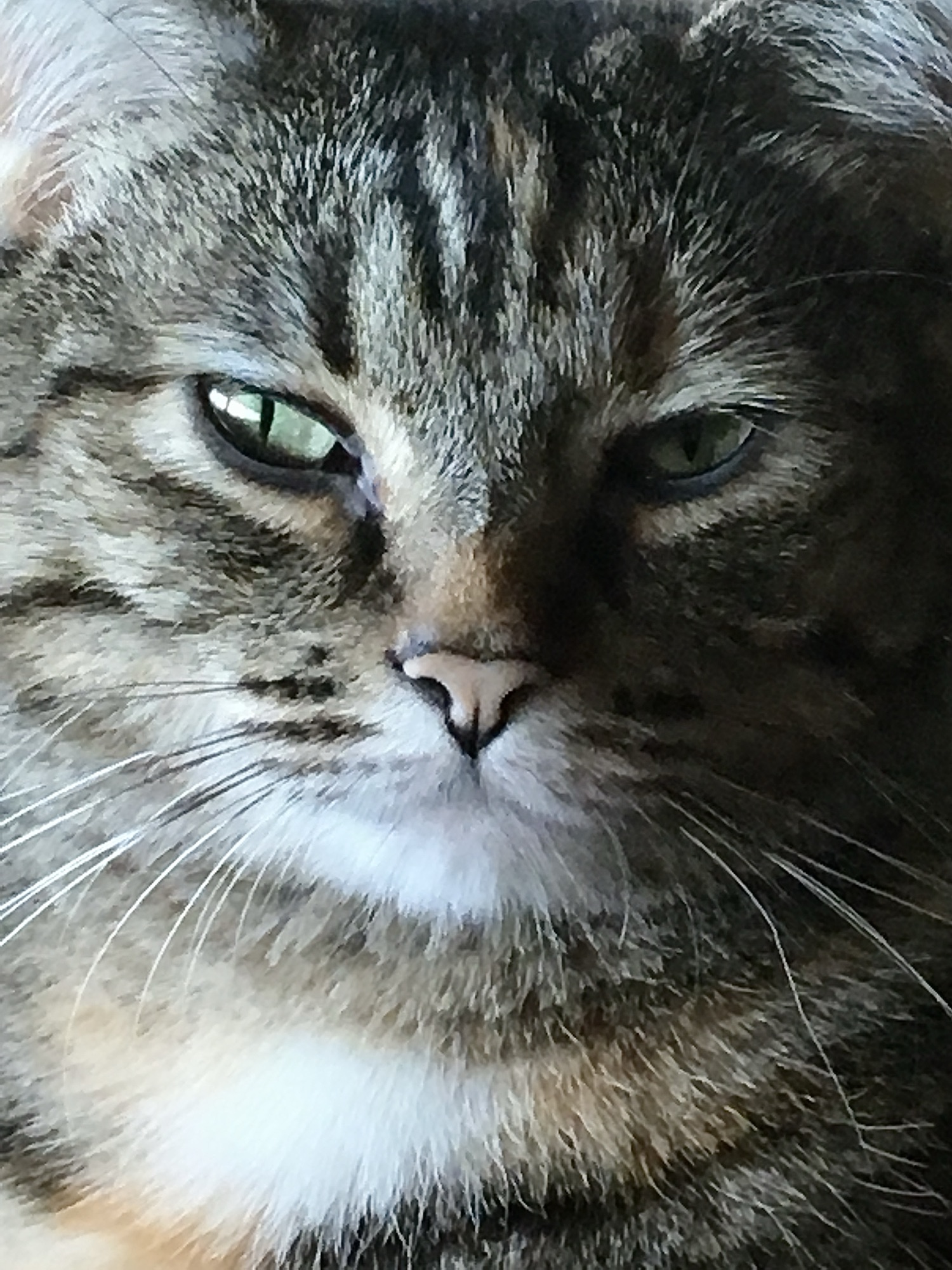 Judging